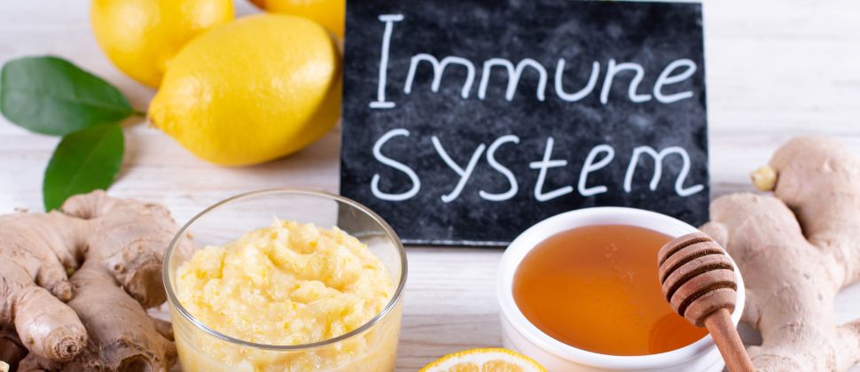10 Remédios Naturais para Impulsionar o Seu Sistema Imunológico Por João Carlos Duarte Ferreira