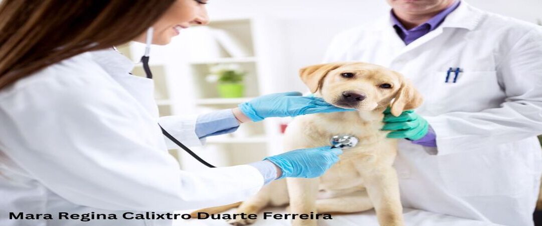 Check-ups veterinários para animais de estimação com Mara Regina Calixtro Duarte Ferreira