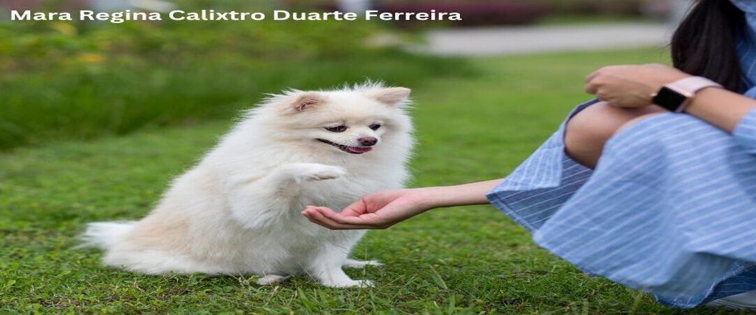 Comportamento do animal de estimação: Treinamento por Mara Regina Calixtro Duarte Ferreira